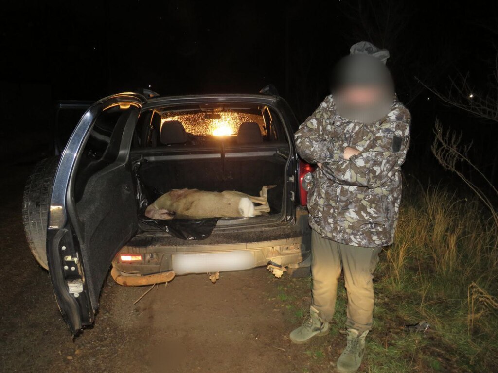 Туша косули. Фото: УМВД России по Оренбургской области