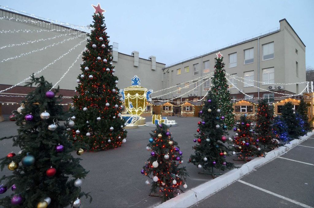 Елки на площади Ленина. Фото: Сергей Салмин