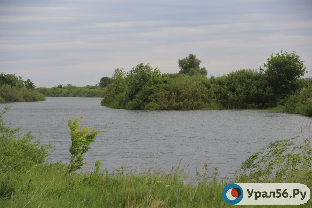 В Орнбуржье начинается весенний сезон охоты