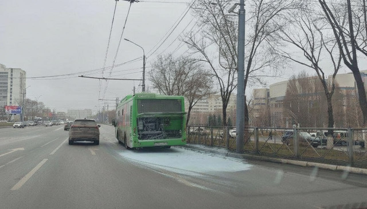 Автобус. Источник: Соцсети