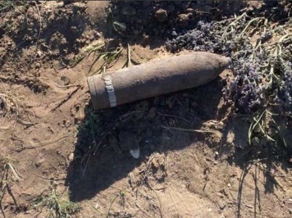 Находка в Оренбургской области. Источник фото: пресс-служба УМВД по региону