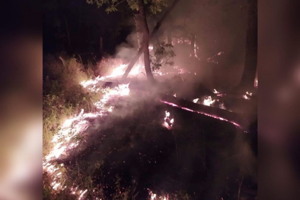 В заповеднике «Шайтан-Тау» в Кувандыкском районе от удара молнии загорелся лес (видео)