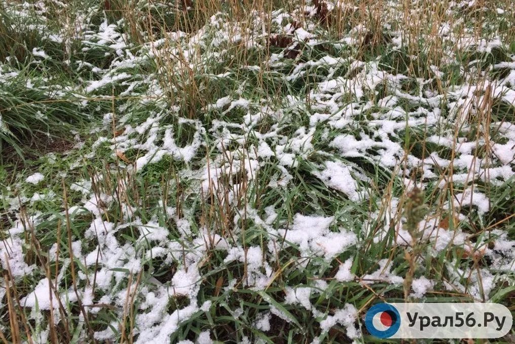 В ночь на 1 октября в Оренбургской области ожидаются заморозки до -2°С