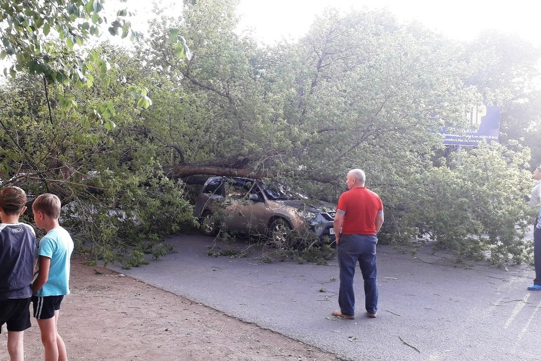 Упавшее на дорогу дерево. Фото: группа в VK «Оренбург онлайн»