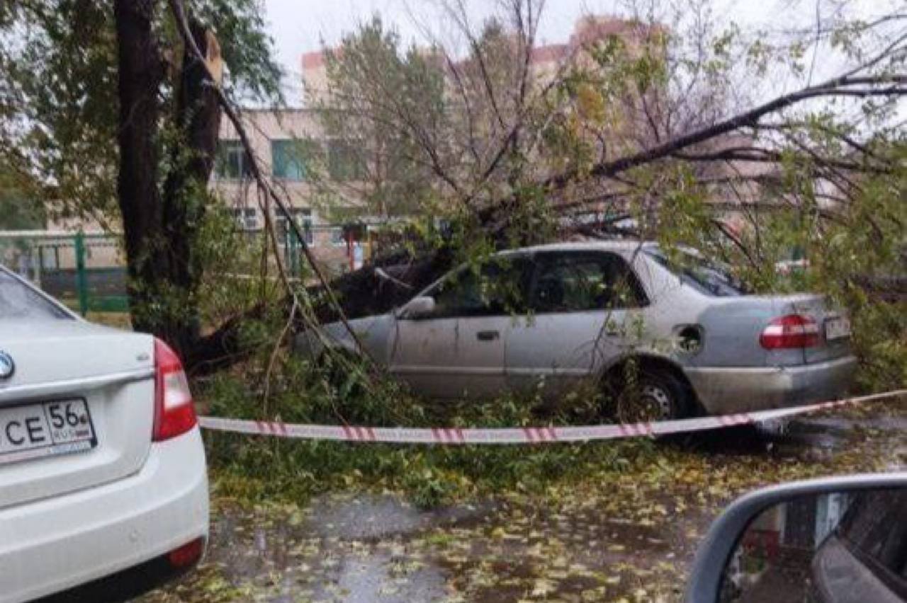 Вслед за крышами в Оренбурге на автомобили начали падать деревья