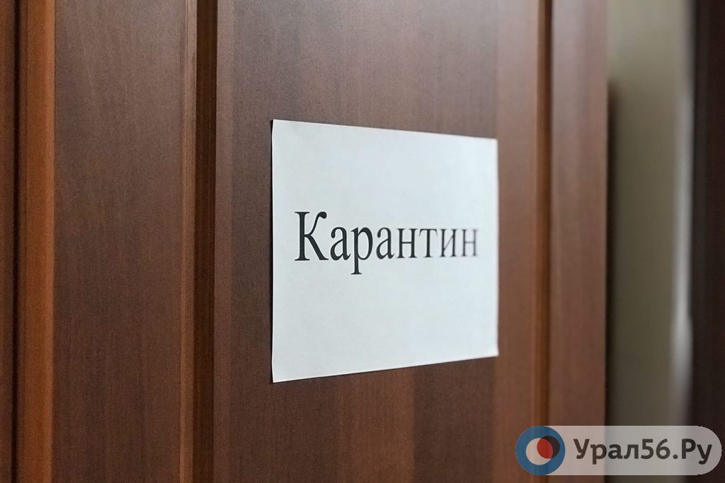 Гимназию №1 в Оренбурге закрыли на карантин из-за норовируса