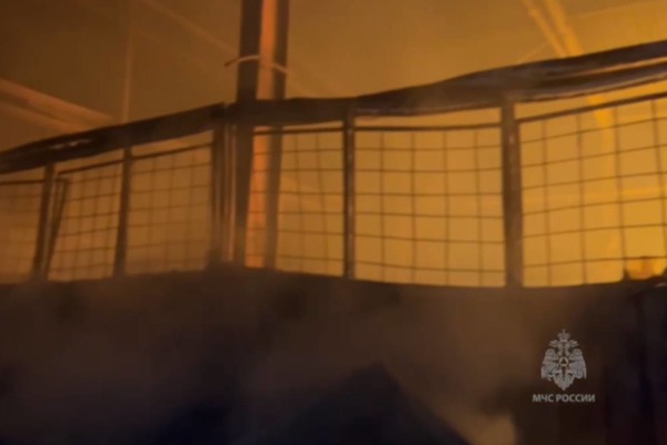 На месте пожара. Источник: Стоп-кадр из видео МЧС России по Оренбургской области