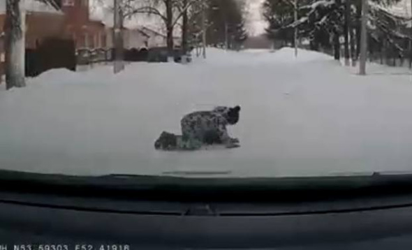 Ребенок поскользнулся и упал под колеса машины в Бугуруслане