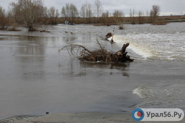 Несмотря на обильные осадки, сильного паводка в Оренбургской области не ожидается, но подтопление мостов и поселков возможно