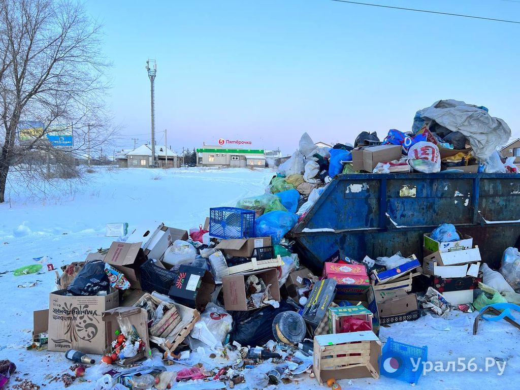 Переполненная мусорная площадка в Орске