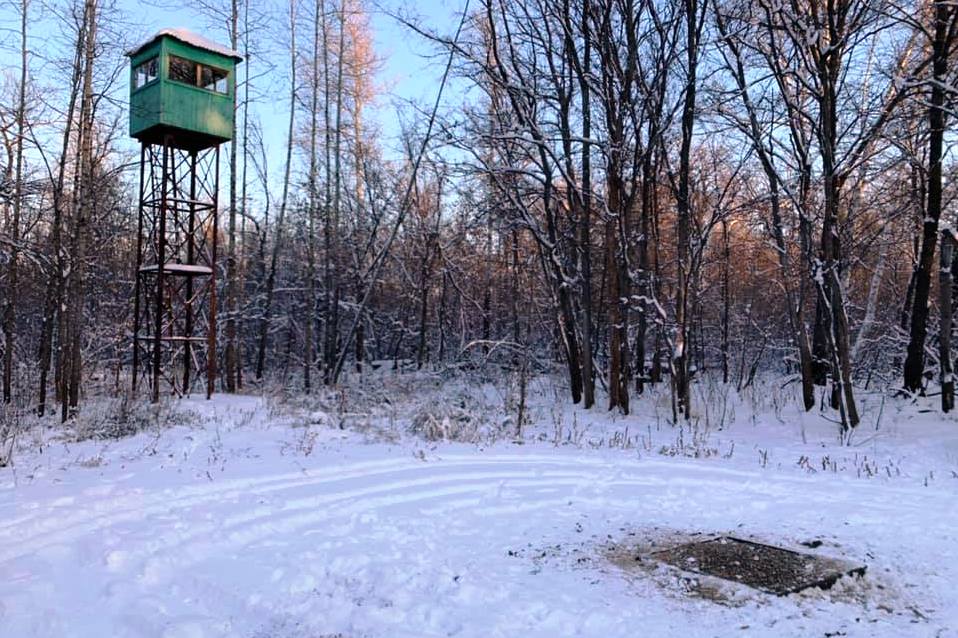 Фото: Андрей Латыпов