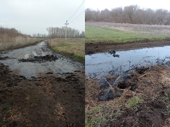 Нефтегазовая компания заплатила более 7 млн рублей за разлив нефти в Бугурусланском районе