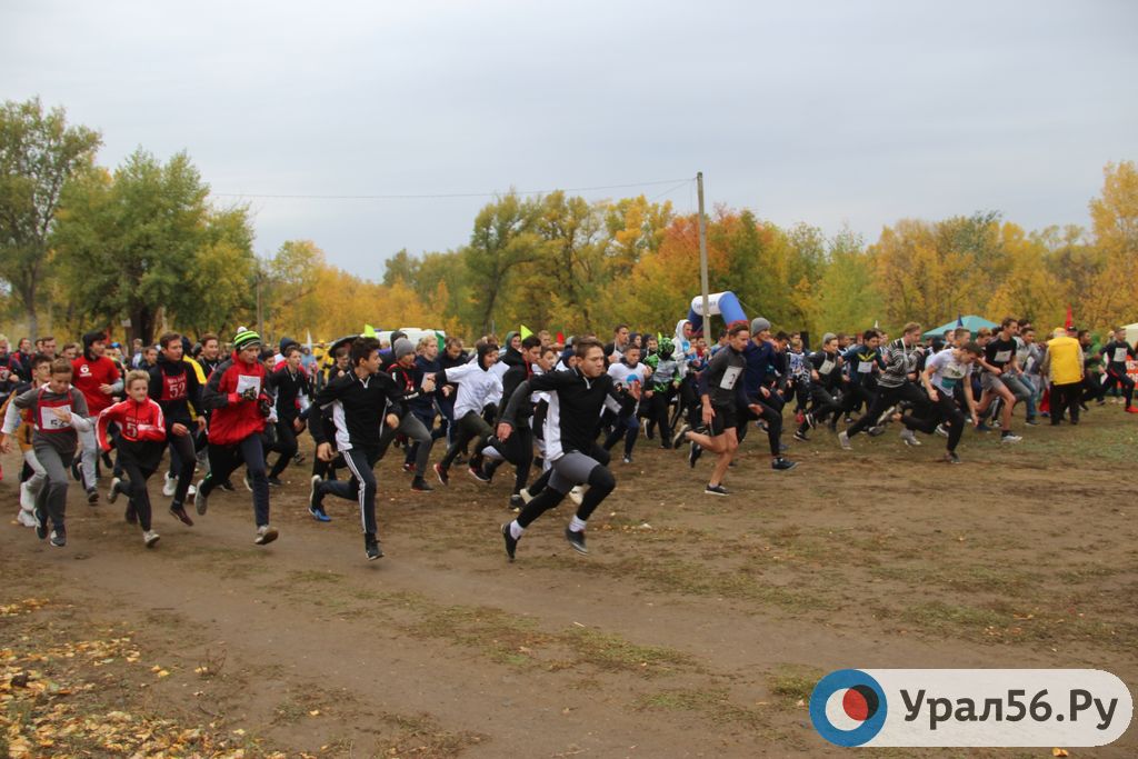 «Кросс нации — 2019» в Орске, 21.09.2019