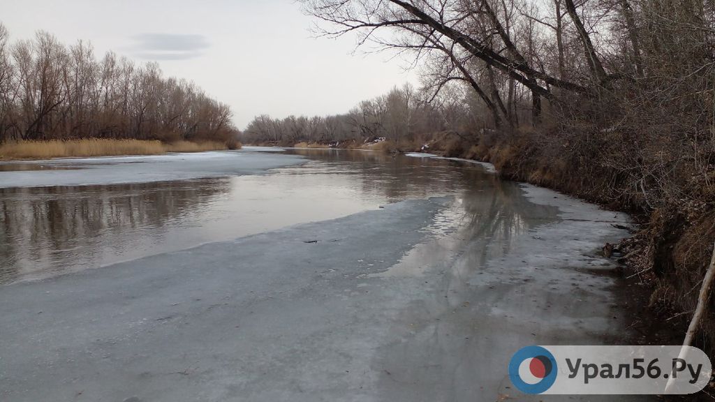 Уровень воды в урале на 10 часов. Река Урал Оренбург. Река Урал Орск. Уровень воды в реке Урал у Оренбурга. Река Урал Орск 2023.