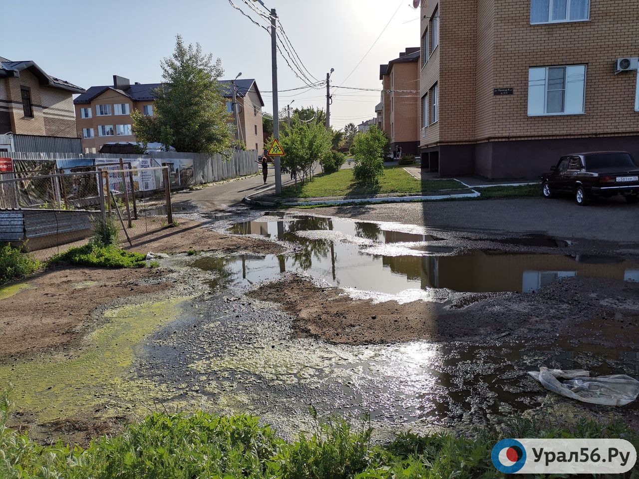 Парк Ивушка Оренбург Фото