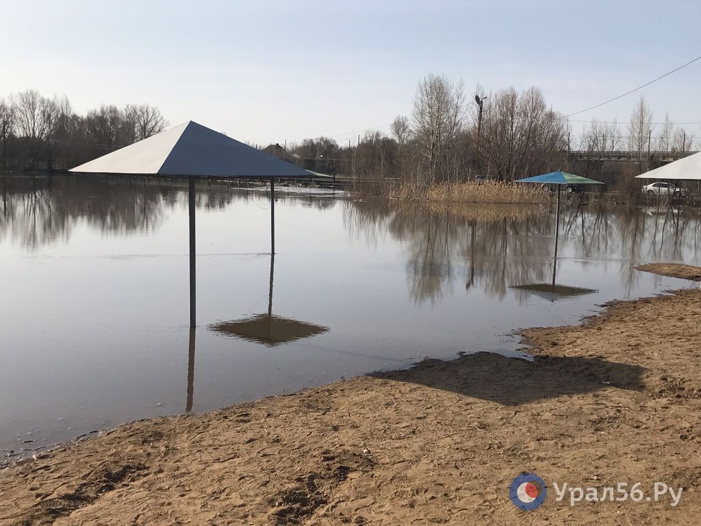 Озеро оттока Вышгород Рязань - информация для рыболовов