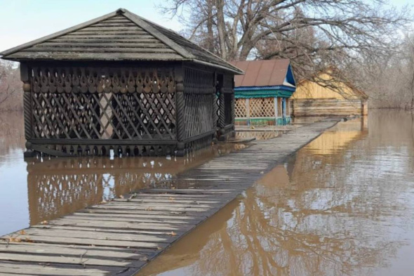 Беседки, баня, недостроенный дом: 24 тысячи гектаров Бузулукского бора оказались под водой из-за наводнения