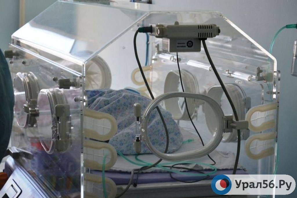 В одном из роддомов Оренбургской области