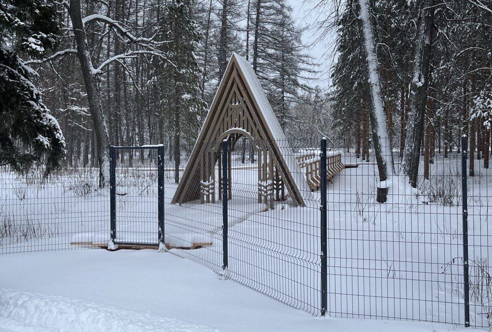 Входная группа. Фото нацпарка «Бузулукский бор»