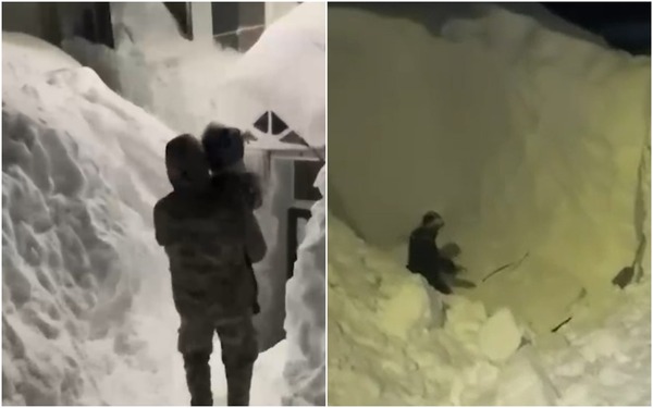 Последствия снегопада. Источник: ТГ-каналы Mash и Readovka