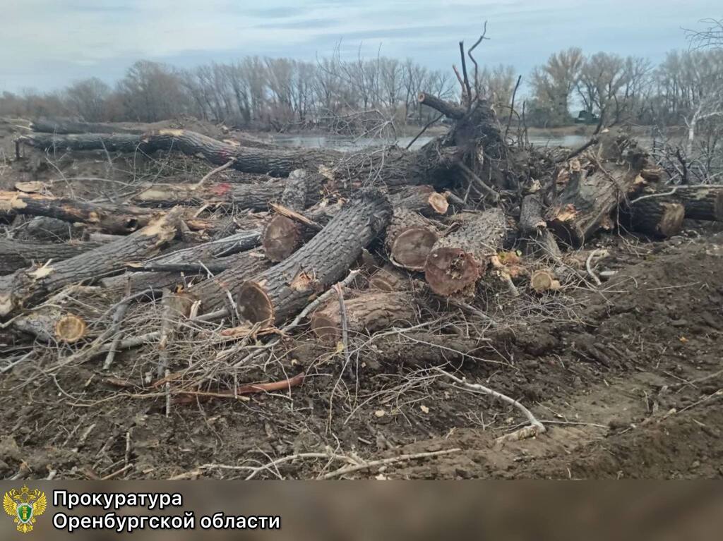 Ущерб окружающей среде. Фото: Прокуратура Оренбургской области