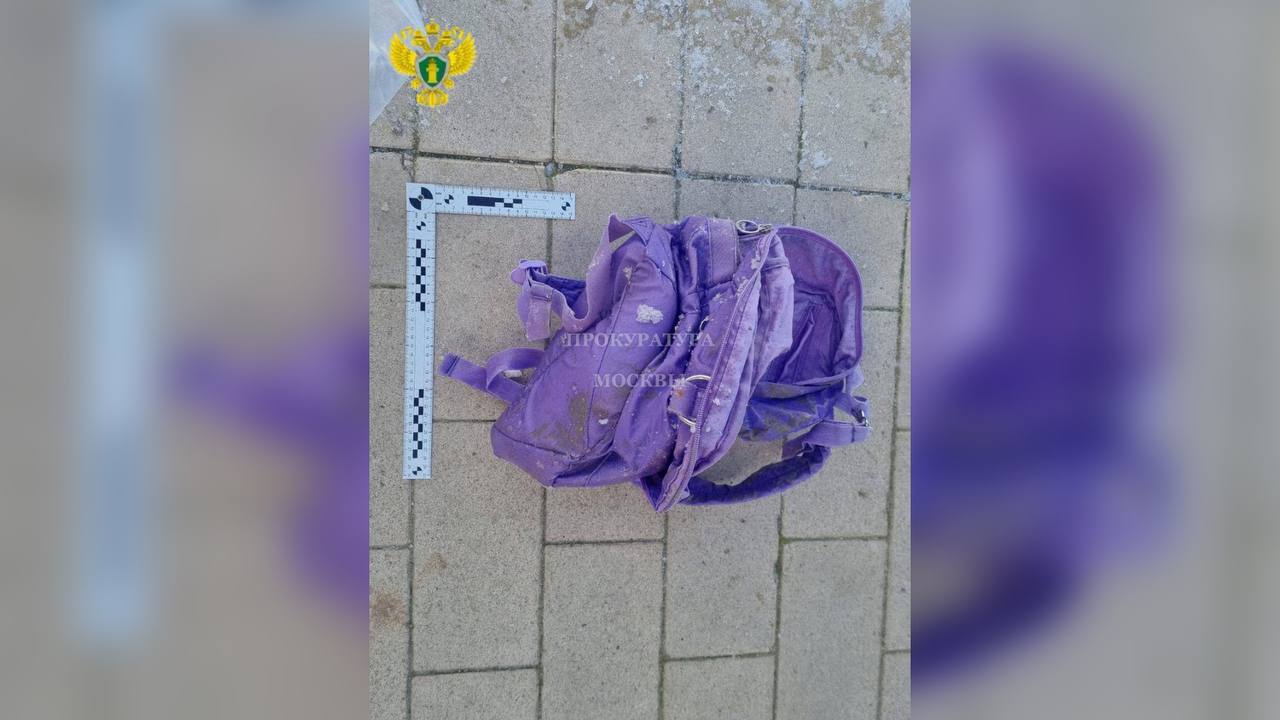 В этом рюкзаке лежала голова ребенка