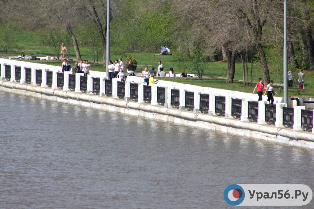 Какой уровень в урале возле оренбурга