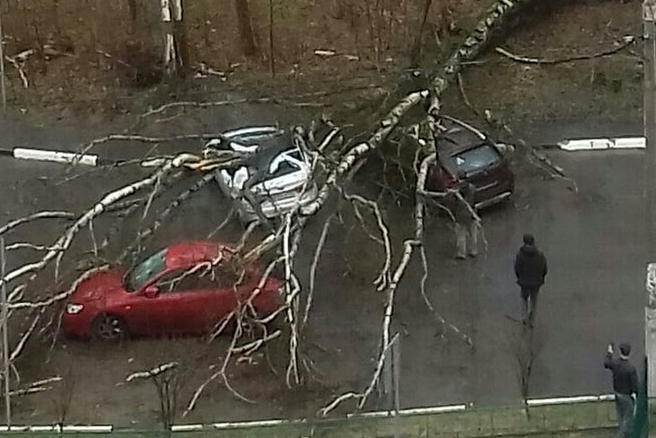 Один ребенок погиб, 12 человек пострадали из-за урагана в Москве