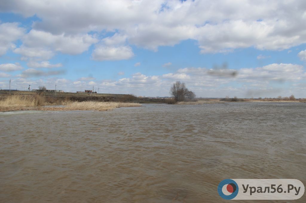 Какой уровень воды в урале в илеке