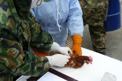 Комплексные учения 20-21.04.2010 в г.Орске 12.jpg