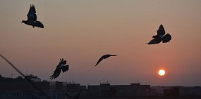 В Оренбурге и Орске в эти выходные обещают до +19°C и +12°C 