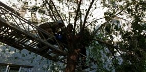 В Оренбурге женщина выпала из окна 9 этажа и осталась жива