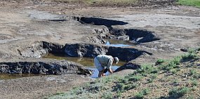 Соленое урочище. Фото Ивана Сотникова