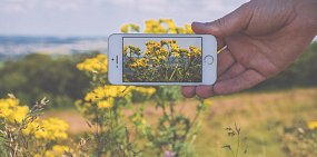 МегаФон развернул скоростную сеть в десятках сел Оренбургской области