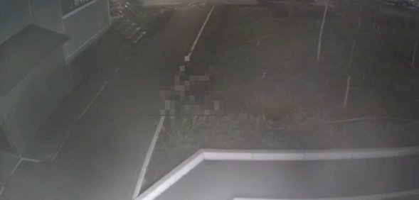На месте происшествия. Источник: Стоп-кадр с камеры видеонаблюдения