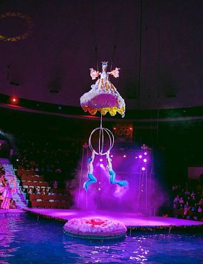 «Умер под аплодисменты»: в соцсетях обсуждают смерть мужчины на арене цирка