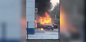 Стопкадр из видео 