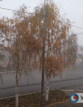 Из-за плохой погоды самолет Москва – Оренбург направили в Самару