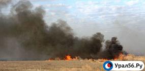 В Оренбургской области ожидается четвертый класс пожарной опасности