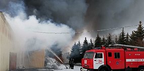 Руководство мясокомбината в Новотроицке не собирается останавливать производство. В планах – аренда производственных мощностей