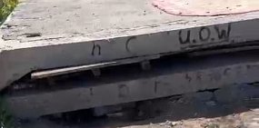 Бетон, под которым оказались бездомные животные в Орске