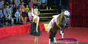 В Орск приехал цирк-шапито «Европа»