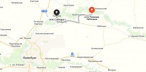 Восстановлением лесополосы в Сакмарском районе за 2 млн рублей займется фирма с одним сотрудником