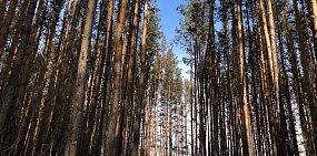 В Оренбургской области 