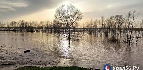 Урал в Оренбурге растет, в Орске падает. Серьезно поднялись Самара, Салмыш и Б.Кинель