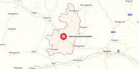 В Оренбургской области индюк напал на автомобиль на глазах у водителя