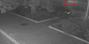 Поджог предвыборного баннера Дениса Паслера попал на видео 