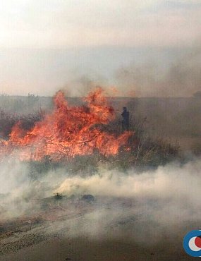 Большой пожар в Орске: горят сады от очистных сооружений до Попова угла