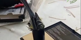 Уникальный номер на лапку: В Оренбургской области прошло кольцевание птиц