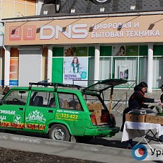 В центре Орска торгуют овощами с машины: это законно?